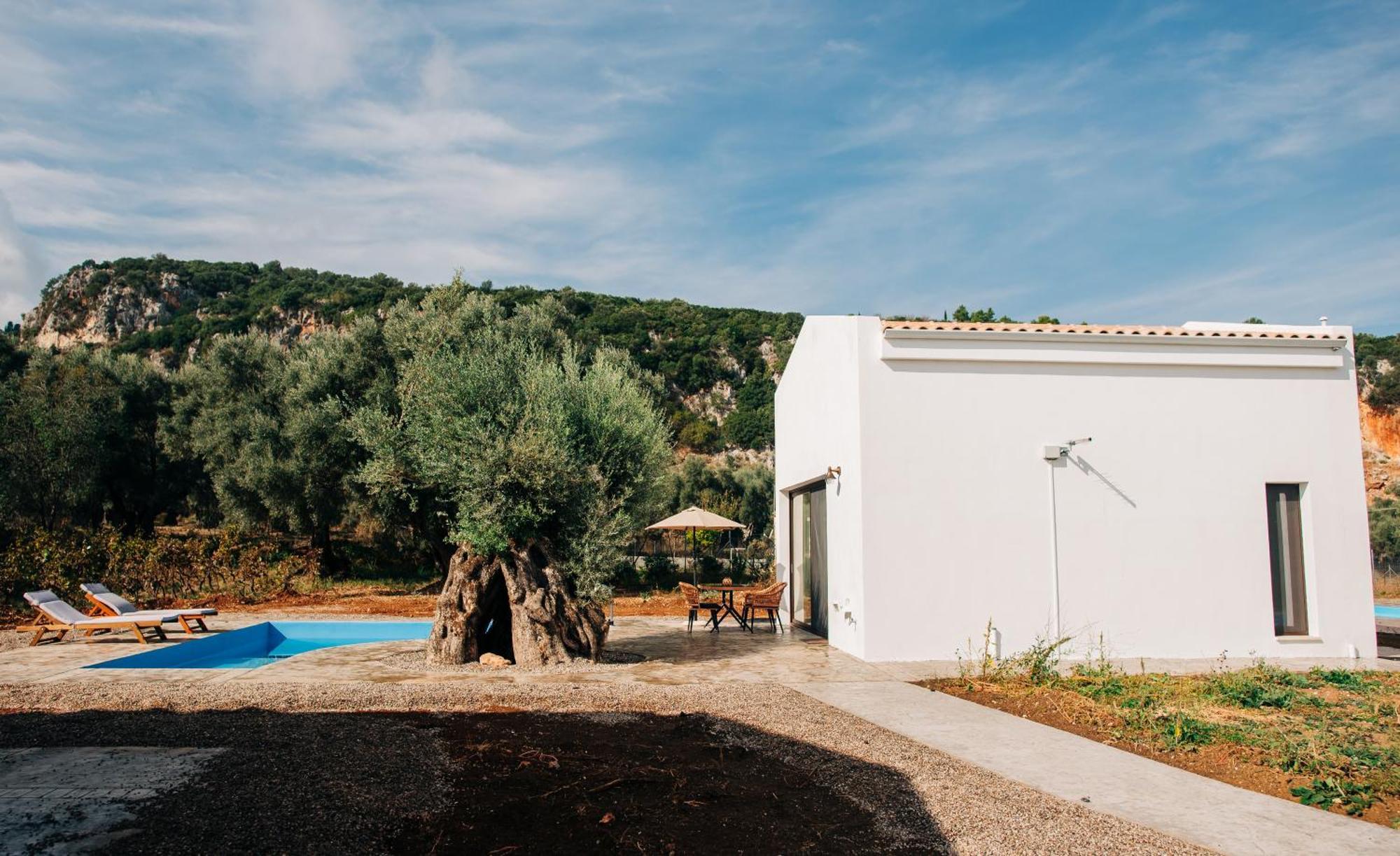 Villa Di Vino Apolpaina Exteriér fotografie